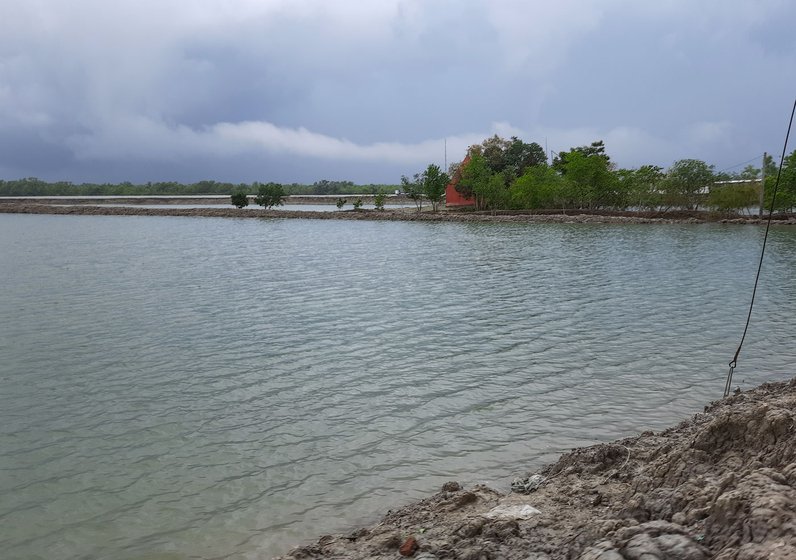 Saline water in sundarbans