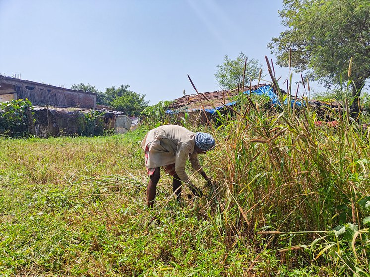 Jamnalal continues to live and work there but Rampyari's family has left Dhanoriya. 'I don’t think Arjun [her husband] and his father will return,' he says