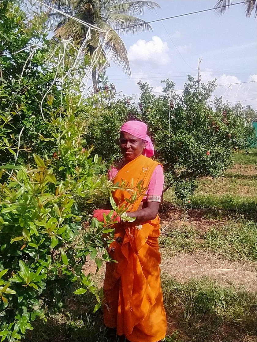 Shivamma (left) and Narasamma (right) work as farm labourers