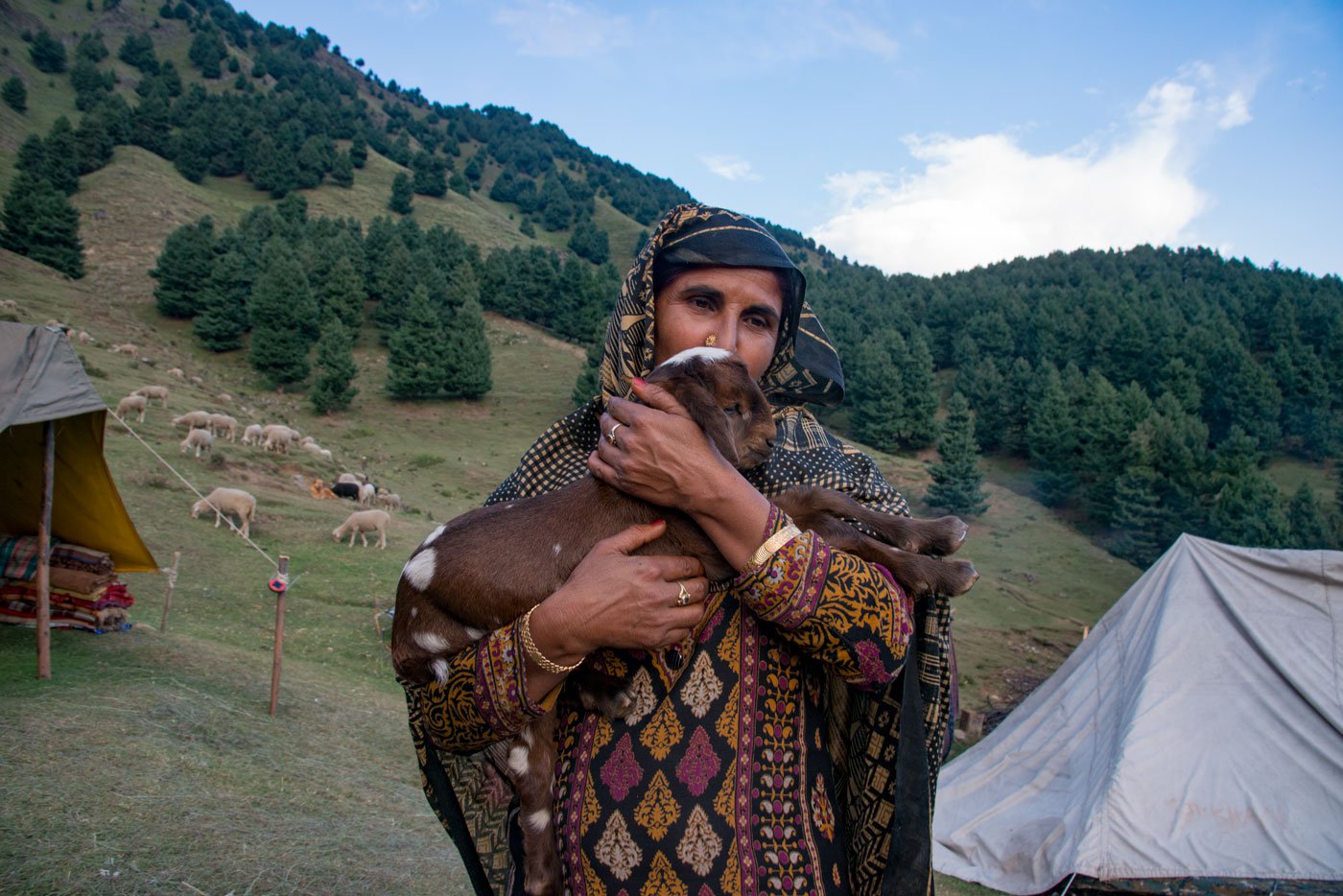 Fana Bibi is a member of Shaukat Ali Kandal's group of 20 Bakarwal families from Kathua district of Jammu