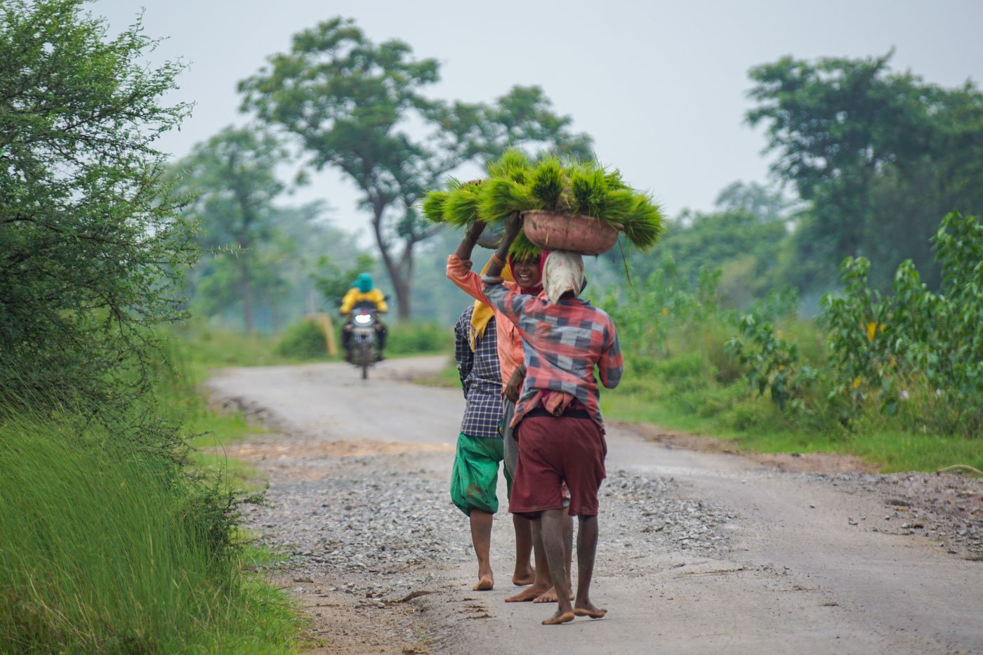 That’s a daily wage of around Rs. 260 for each labourer in the group