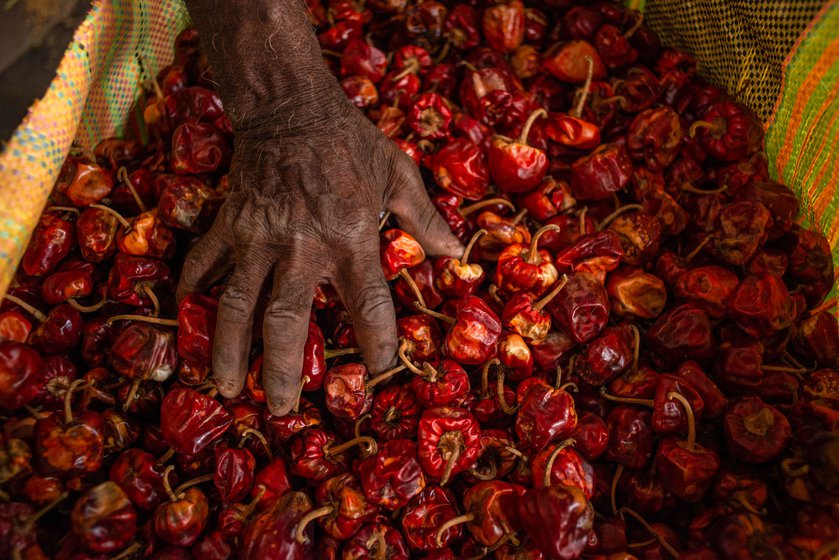 Adding and removing handfuls of chillies while weighing the sacks.