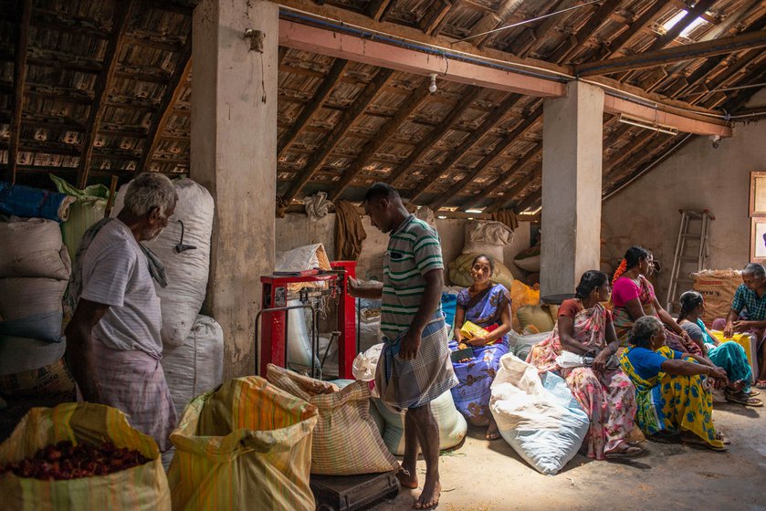 Weighing the sacks of chillies after the auction