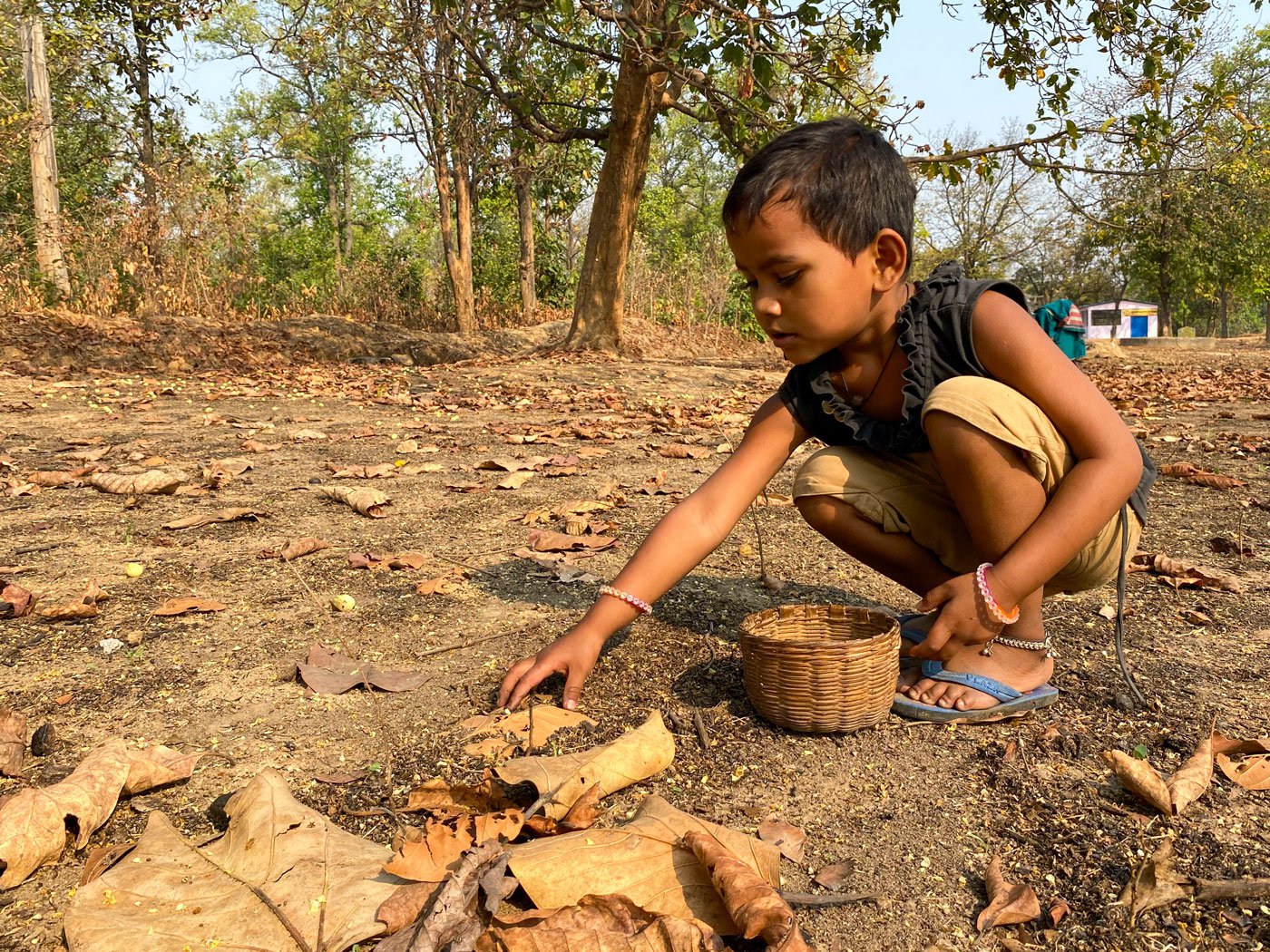 The same kid searching the ground to collect the flowers