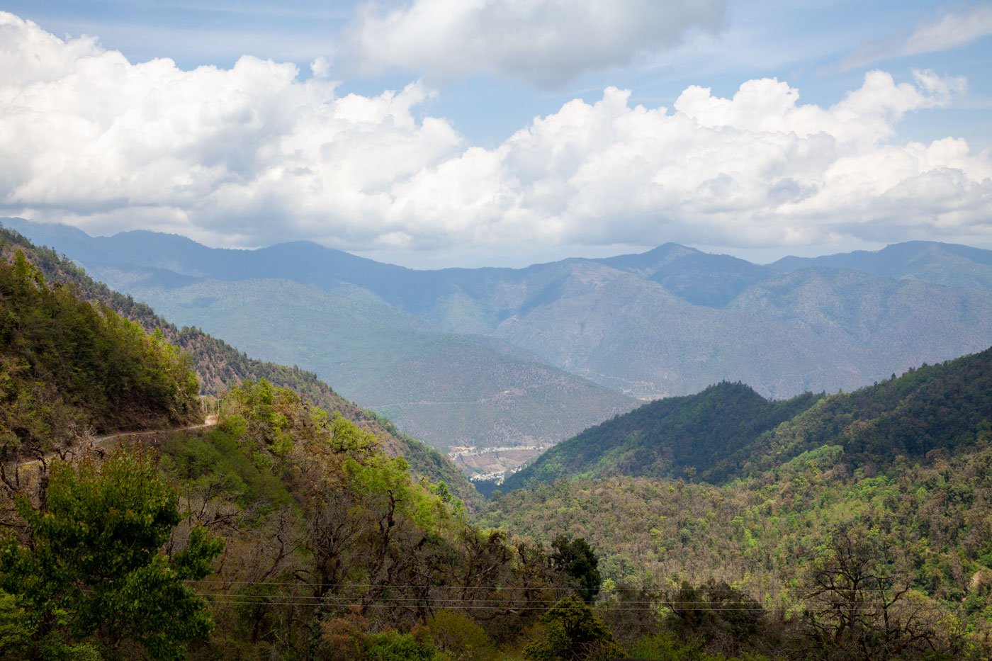 The view of the SBVCR from Lama camp. The Bugun Liocichla is found only within a 2 sq km radius within this 17 sq km protected reserve