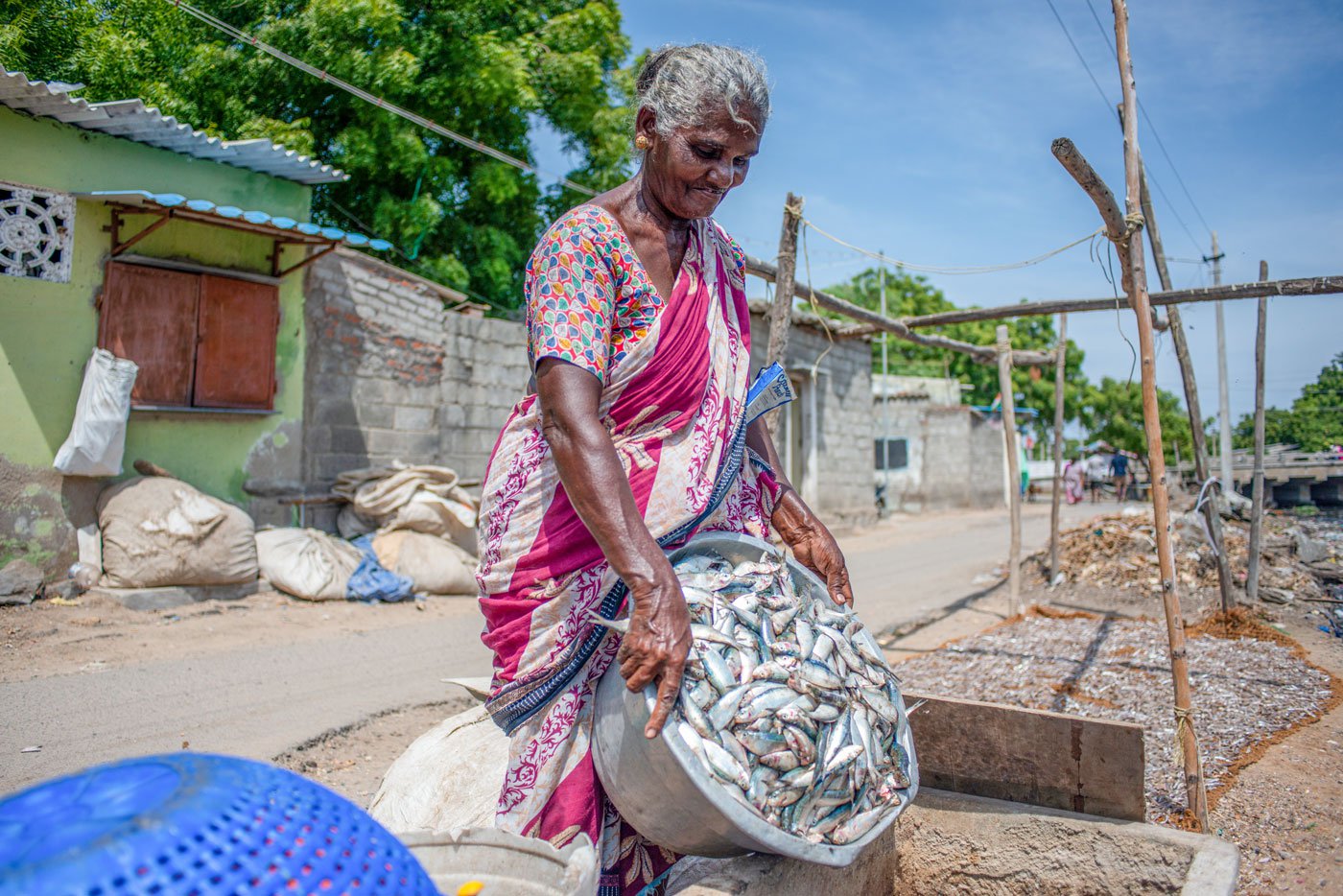 Sahayapurani transferring fishes from her morning lot into a box. The salt and ice inside will help cure it