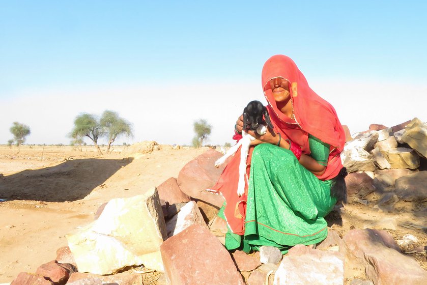 Kamal Kunwar (left) and Sumer Singh Bhati (right) who live in Sanwata village rue the loss of access to trees and more