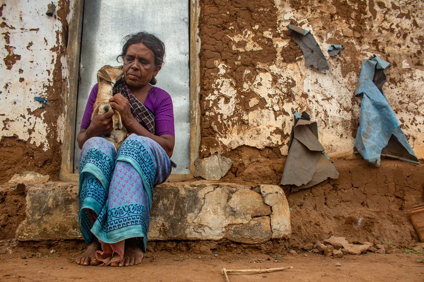 Right: Amma looks after her animals as if they are her own children.