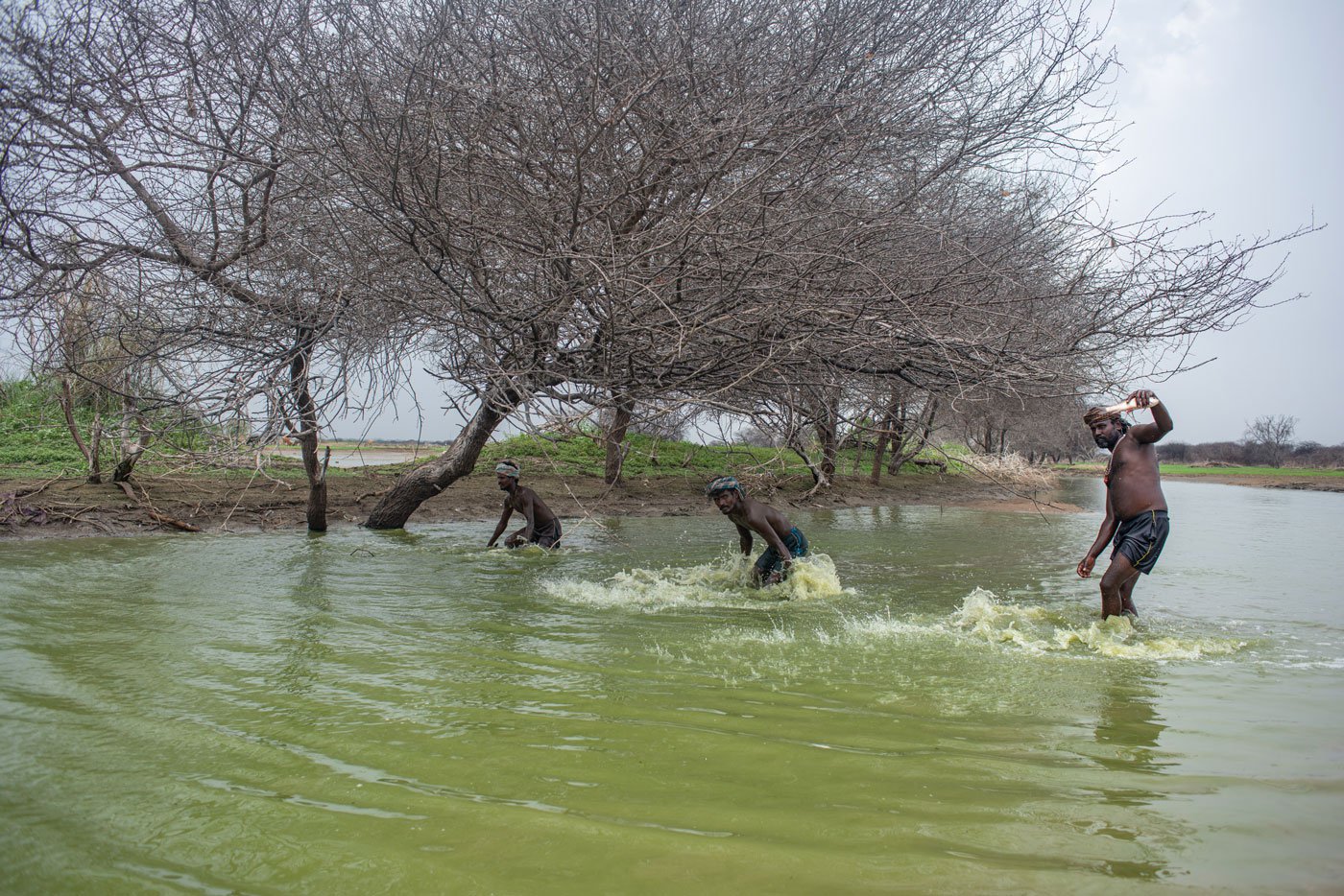 Fishermen agitate the deeper waters in an attempt to trap more catch