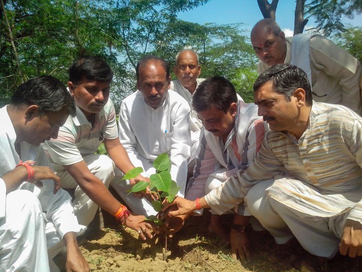 'Till children do not study the trees, land and rivers around them, how will they grow up to care for them when adults?' says Vindhyavasani Kumar (right)