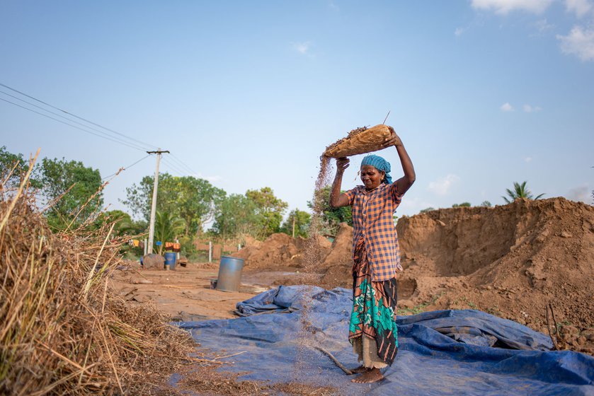 Sesame seeds collected in the winnow (left). Seeniammal (right)  a brick kiln worker, helps out with cleaning the sesame seeds to remove stalks and other impurities