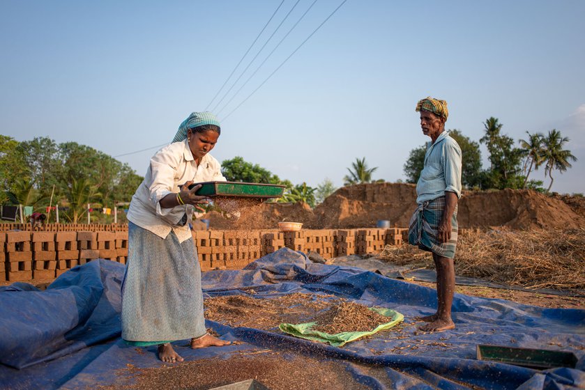 Gopal's daughter-in-law cleans the seeds using a sieve (left) and later they both gather them into sacks (right).