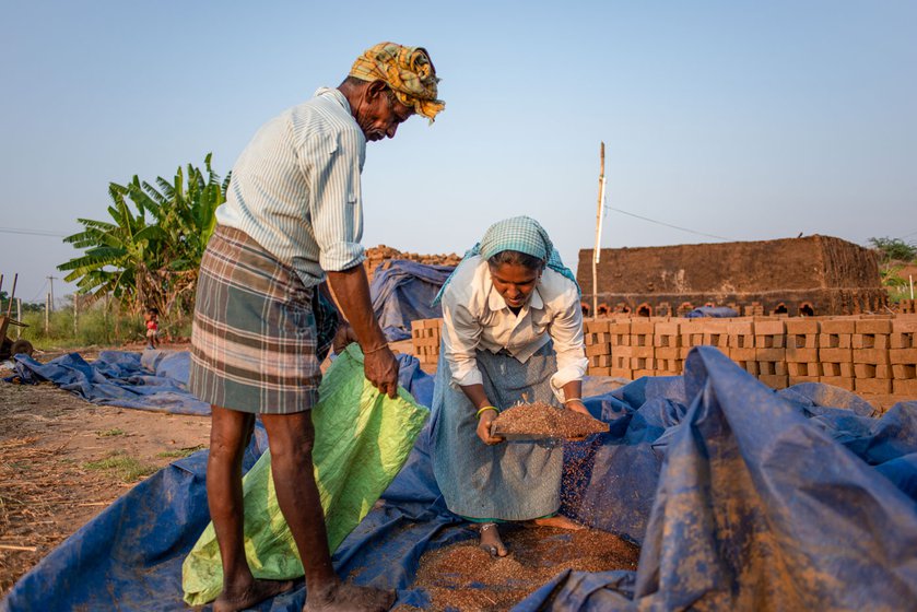 Gopal's daughter-in-law cleans the seeds using a sieve (left) and later they both gather them into sacks (right).