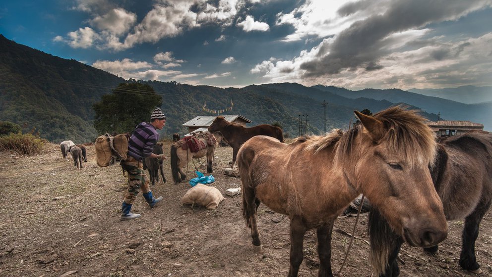 A Brokpa preparing for a journey to Chander village, around 12 kilometres from Lagam