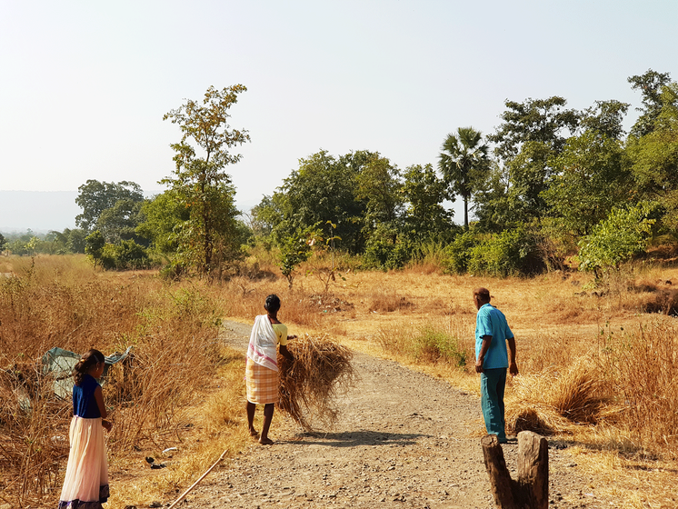 During Diwali, the Warlis also perform a fire ritual where all livestock in the hamlet are rapidly led to step through a paddy-straw fire lit by the community