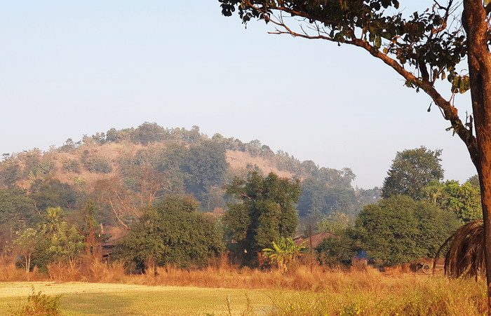 Garelpada is a small hamlet of the Warli Adivasis that has only a handful of houses, around 20-25.