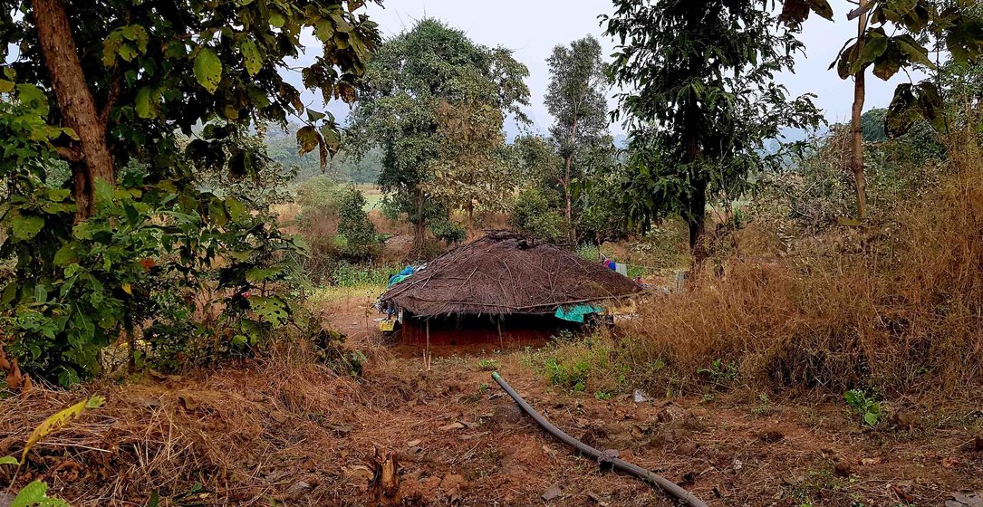 Left: 'We have not even got permission to construct a house on the plot'. Right: The plot is uphill, near their old house; a paddle machine that lifts water eases their labour