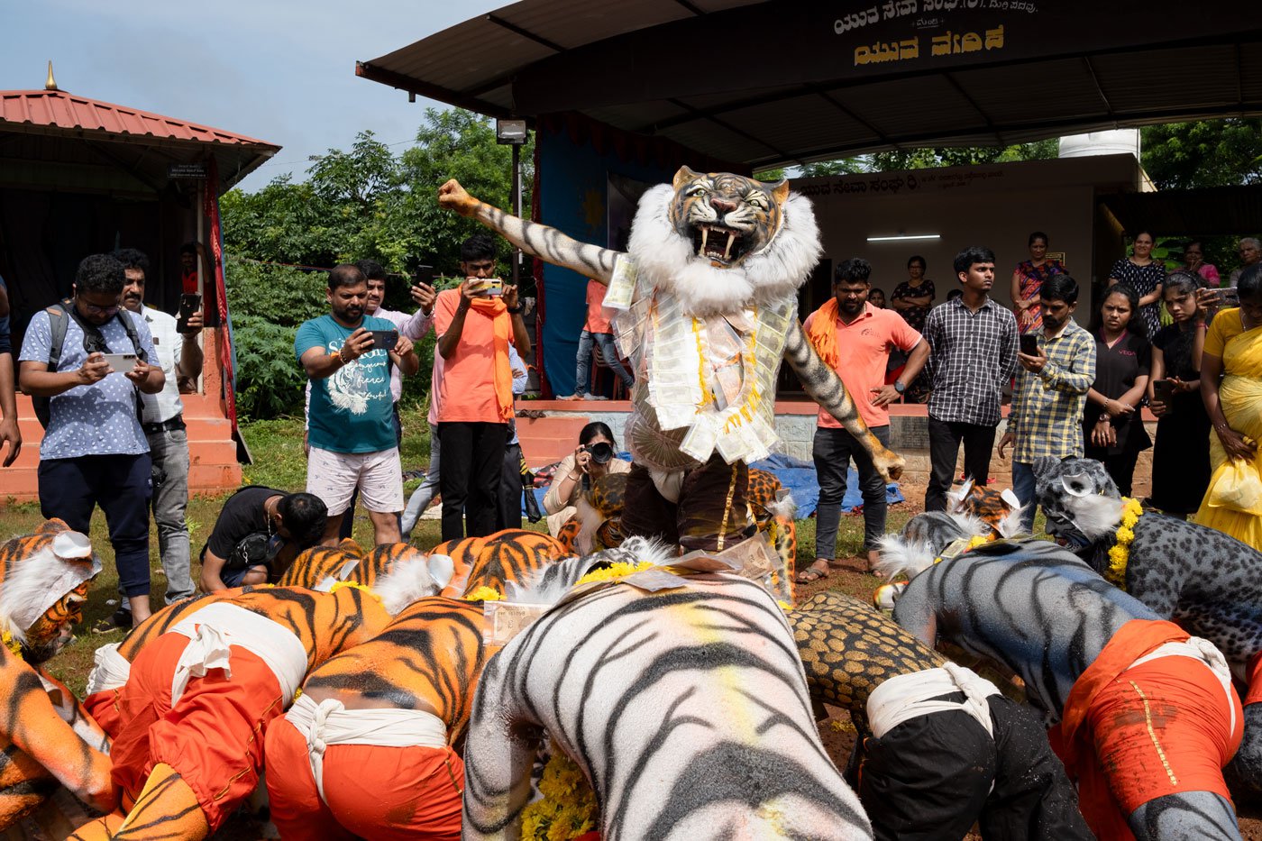 Virendra has been performing pili vesha for the last 22 years . ' The sounds of the drums and the energy around will make you dance to the beats,' he says