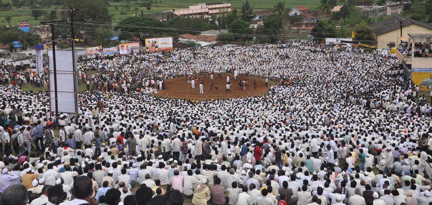 A crowd of people watching wrestling