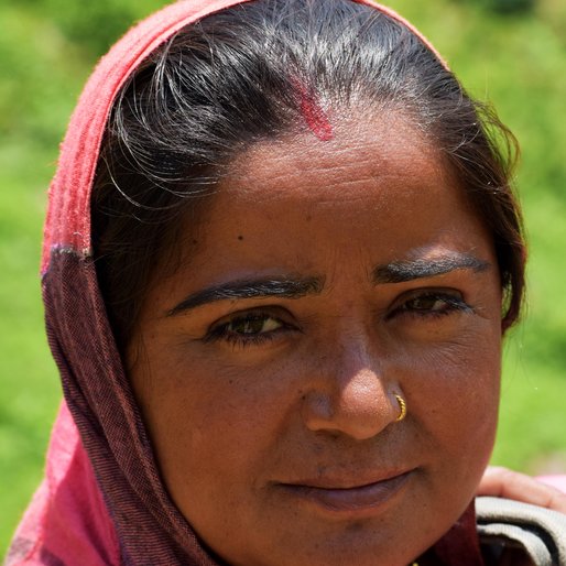 KAMNI DEVI is a Farmer from Solang, Nagar, Kullu, Himachal Pradesh