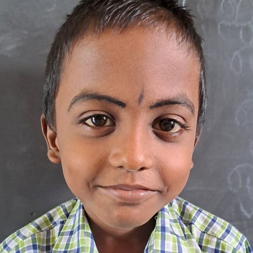 Aadharsh S.E. is a Student (Class 3) from Aruvikkarai, Thiruvattaru, Kanniyakumari, Tamil Nadu