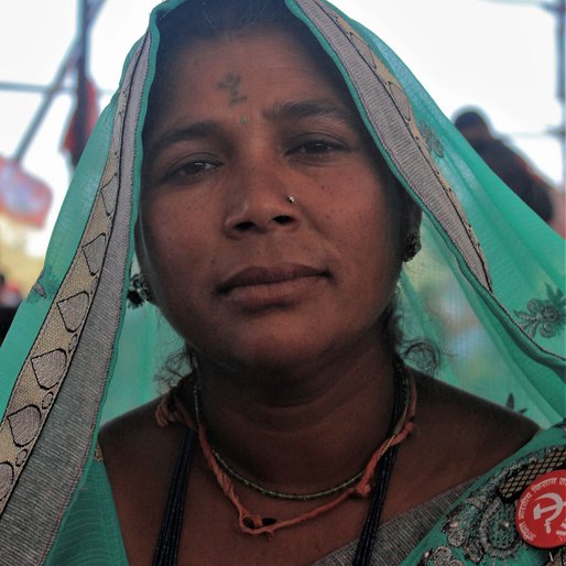 Bijlibai Pavar is a Farmer (cultivates soyabean, spring onion, maize, <em>bajra</em>, <em>moong</em>, and <em>tur</em>) from Jamade, Sakri, Dhule, Maharashtra