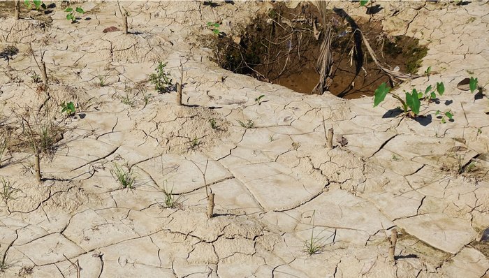 Silt now covers a lot of the farmland, running several inches – sometimes feet – deep