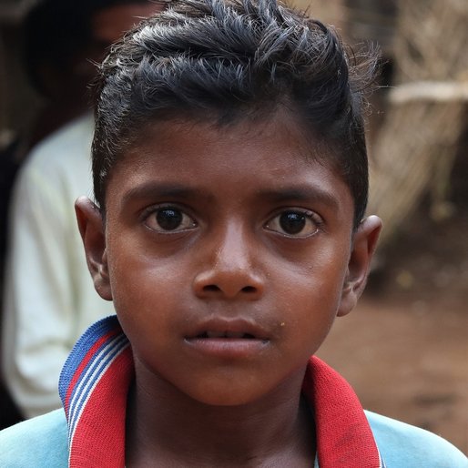 Dipu Singh is a Student (Class 6) from Rajabasa, Bisoi, Mayurbhanj, Odisha