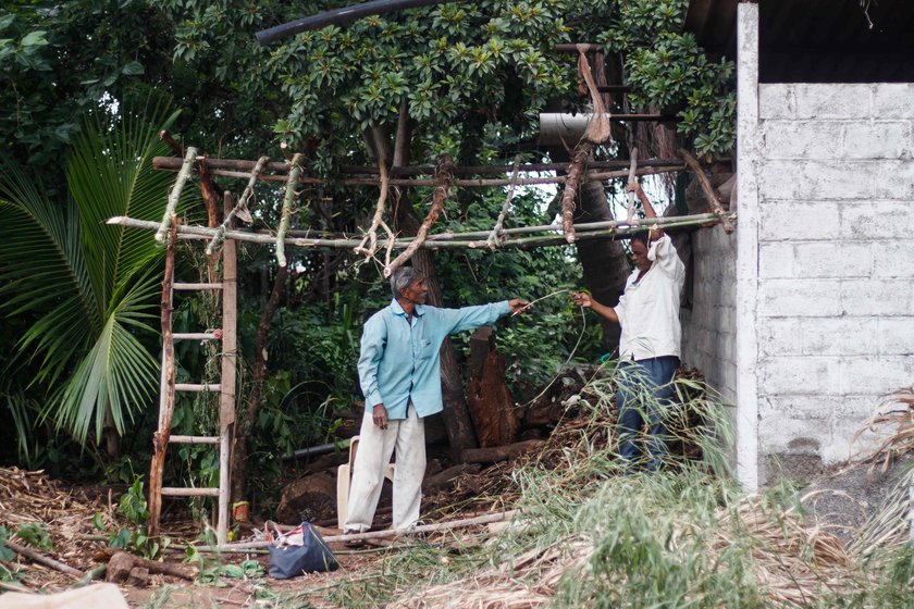 Narayan and Vishnu (in a blue shirt) building a jhopdi at Narayan's farm in Kolhapur’s Jambhali village.