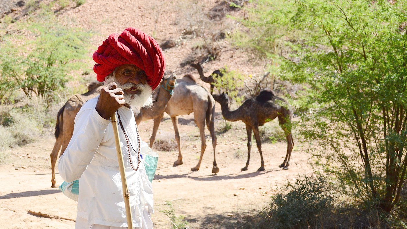 Fuyaramji Raika, a community elder from Sadri village