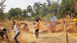 ৱাৰ্লিত দিপাৱলী উৎসৱৰ দিন ৰোমন্থন