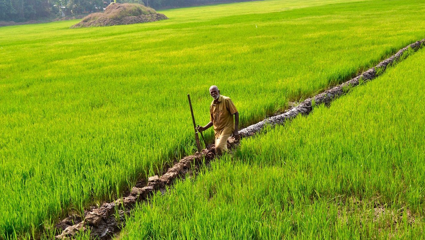 man standing in field