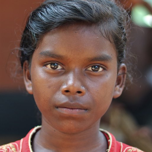 Hiramani Murmu is a Student (Class 8) from Purunapani, Thakurmunda, Mayurbhanj, Odisha