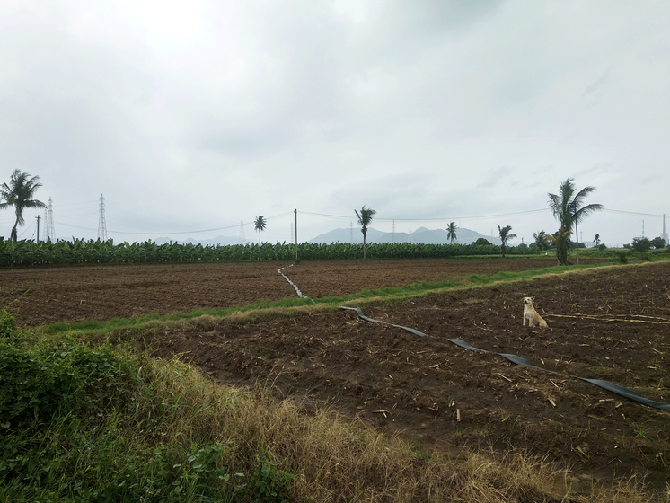 overcast sky over field