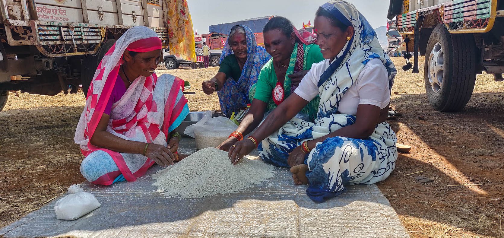 ladies sitting picking rice. 