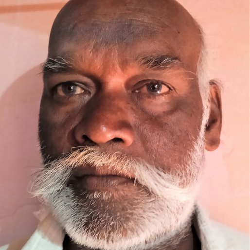 Muniyappan is a Plucks leaves in a tea estate from Ambedkar Nagar, Kotagiri, Nilgiris, Tamil Nadu