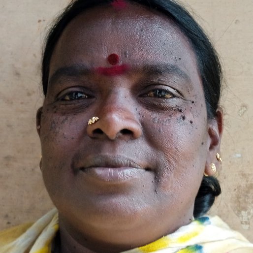 Annakodi is a Plucks leaves in a tea estate from Ambedkar Nagar, Kotagiri, Nilgiris, Tamil Nadu