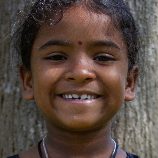 Abinasri M. is a Student (Class 3) from Gundri, Sathyamangalam, Erode, Tamil Nadu