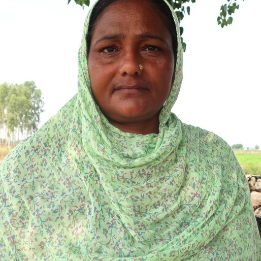 Shinder Kaur is a Shepherd from Bhukhri, Derabassi, SAS Nagar, Punjab