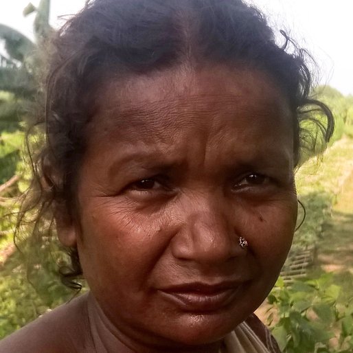 NAYANI BISWAS is a Cowherd from Mahisbathan, Karimpur II, Nadia, West Bengal