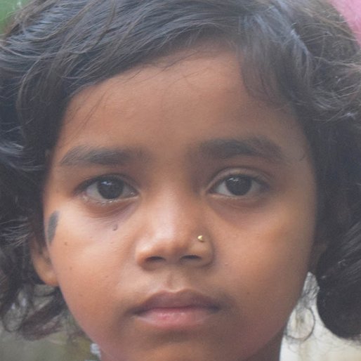 Kiran is a Student from Purba Gopalnagar, Mandirbazar, South 24 Parganas, West Bengal