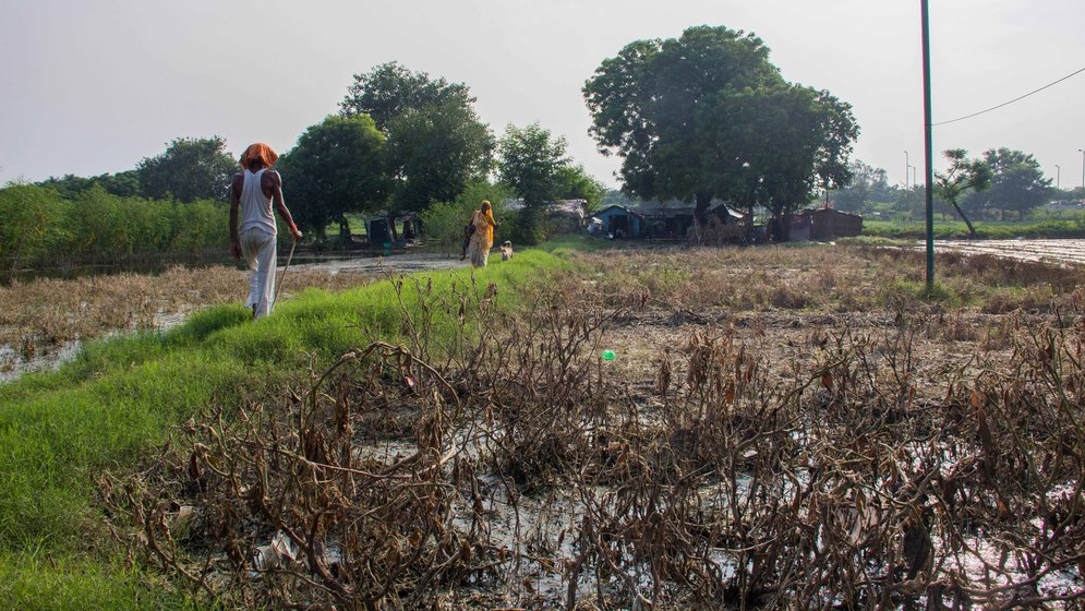 Shiv Shankar explaining the changes in his farmland (right) he has witnessed over the years