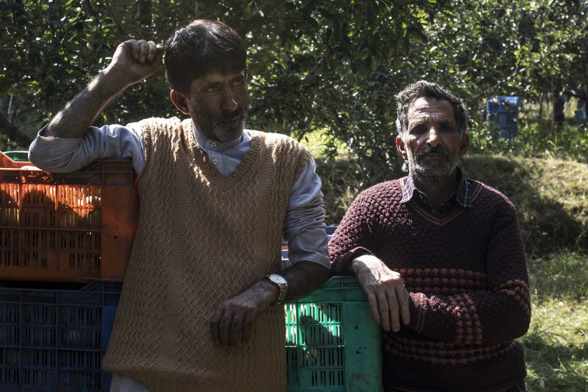 The apple business runs on informal oral agreements. In March-April, traders visit orchards to assess the flowering, and pay the orchard owner an advance based on their estimate of the produce. When the fruit is ready to be harvested, the traders return. In the current turmoil, this entire business is at risk