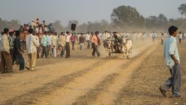 দৌড়ের মাঠে আরেকটি দিন