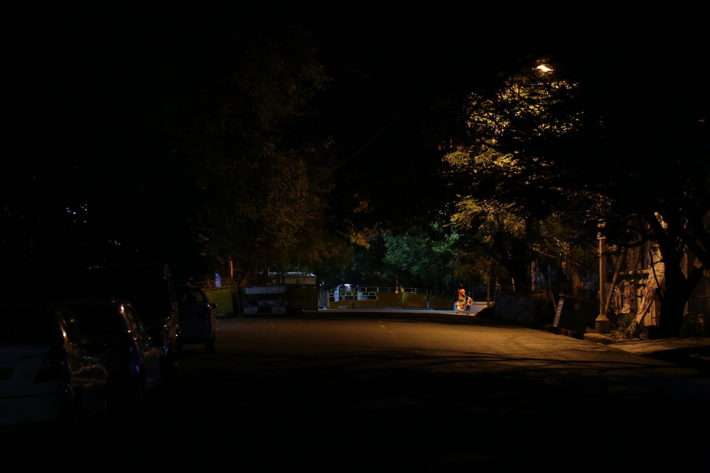 A lone woman and a dog at the end of the road