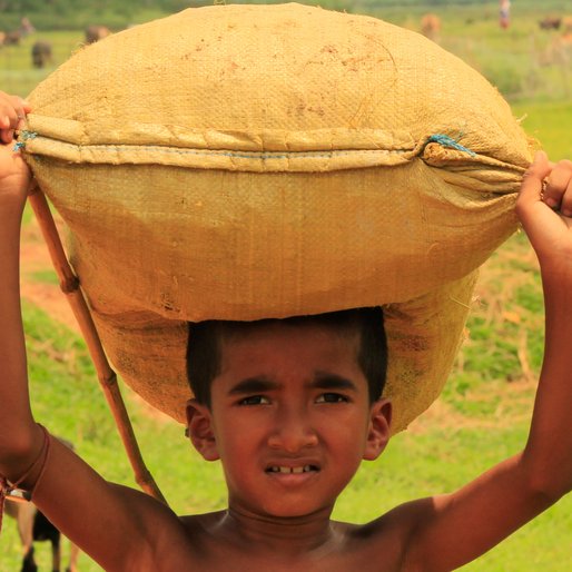 RANAJIT BARIK is a Student; helps on family farm from Angua, Dantan I, Paschim Medinipur, West Bengal