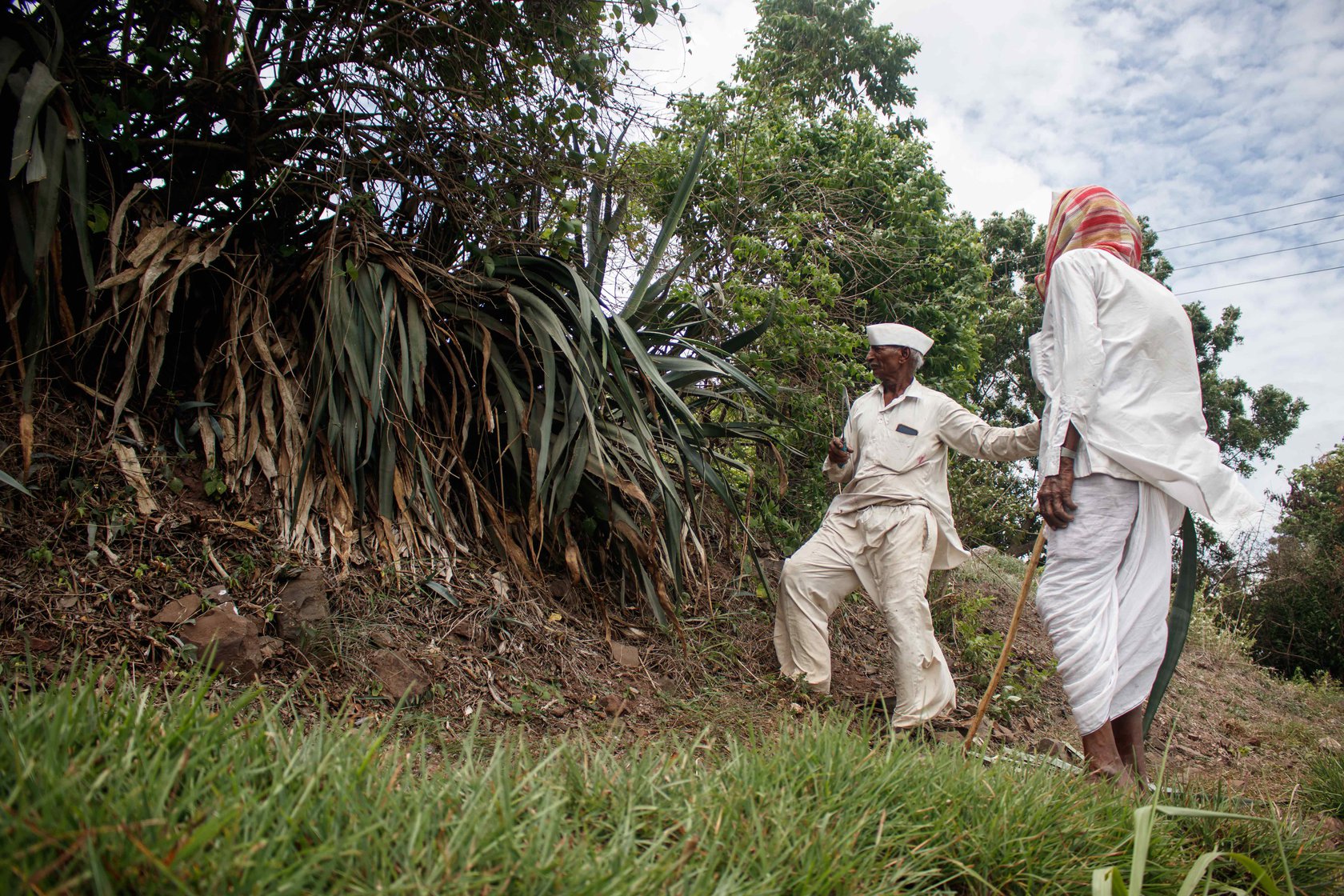 Narayan Gaikwad is examining an agave plant, an important raw material for building a jhopdi. 'This stem is strong and makes the jhopdi last much longer,' explains Vishnu and cautions, 'Cutting the fadyacha vasa [agave stem] is extremely difficult'