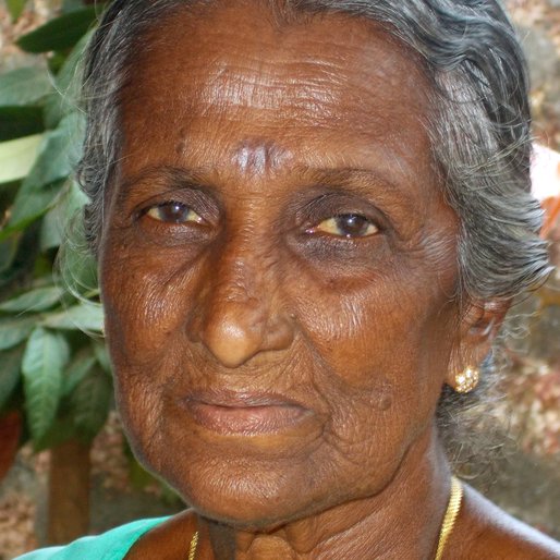 LAKSHMI is a Fish cutter from Kozhikode, Kozhikode, Kozhikode, Kerala